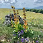 Maison Du Chevalier Des Huttes - Table Et D'hotes 3* Vic-sur-Cere