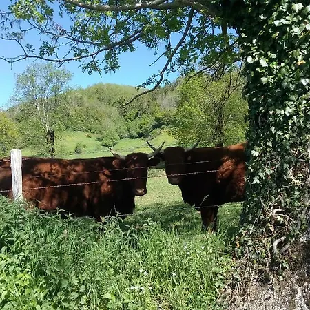 Maison Du Chevalier Des Huttes - Table Et D'hotes Bed & Breakfast 3*