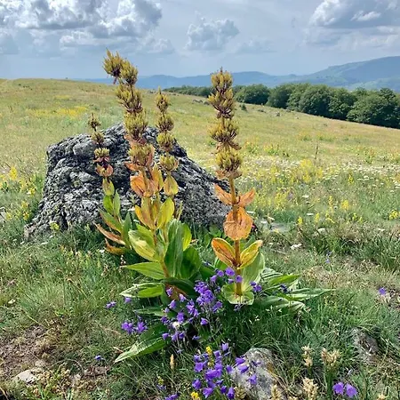 Maison Du Chevalier Des Huttes - Table Et D'hotes 3* Vic-sur-Cère